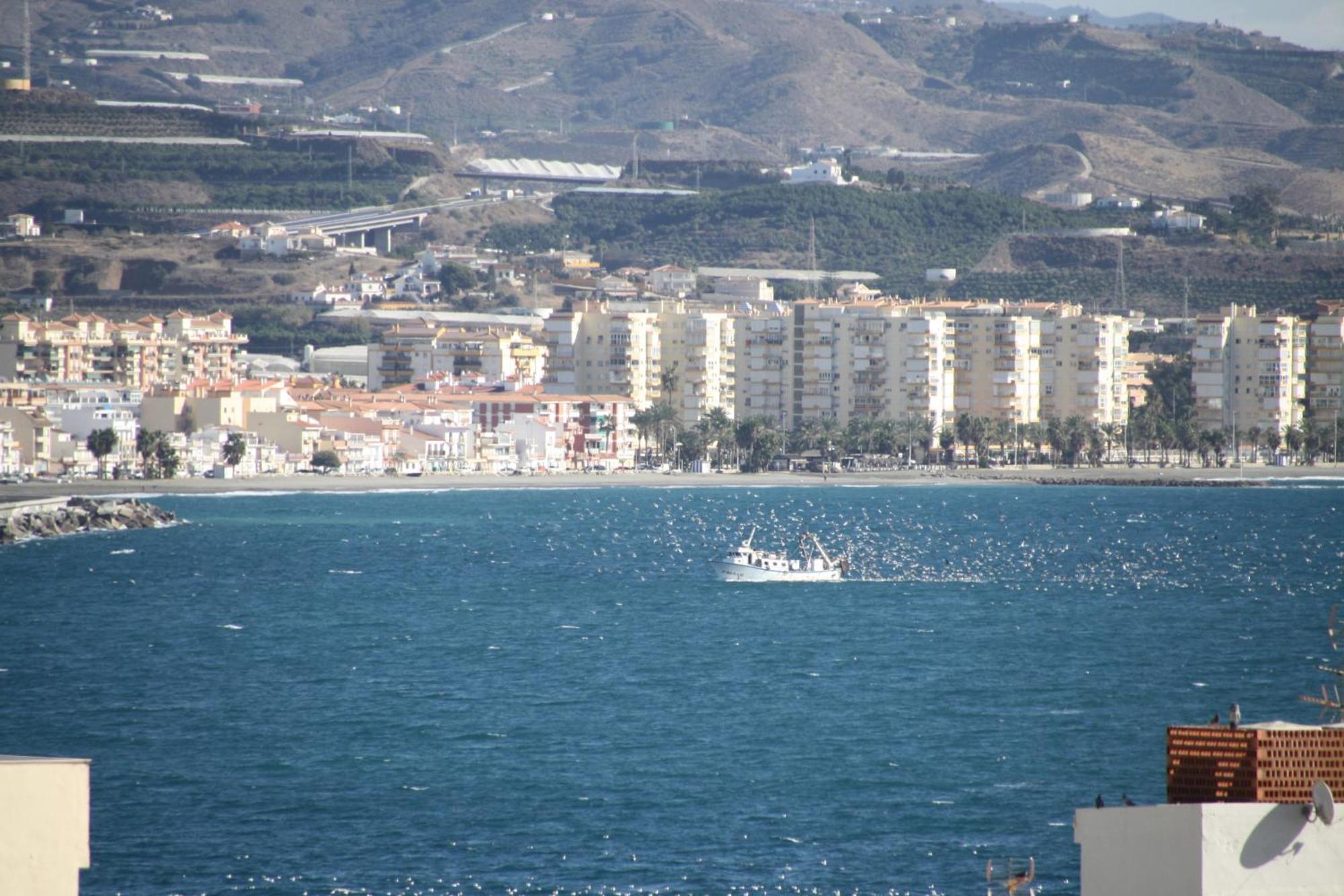 Estudio Plazamar Beach Torre del Mar Kültér fotó